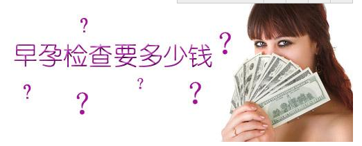 文山早孕检查的费用是多少